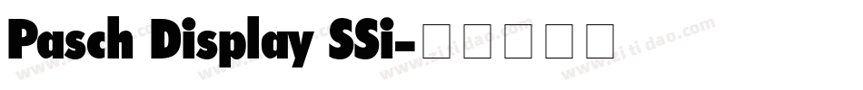 Pasch Display SSi字体转换